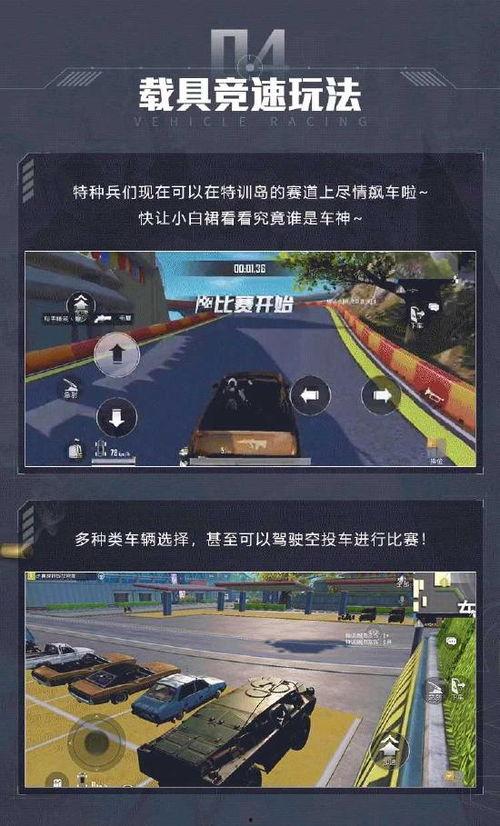 特训岛最新爆料信息大全,揭秘岛内神秘事件与不为人知的真相 第2张 特训岛最新爆料信息大全,揭秘岛内神秘事件与不为人知的真相 第2张